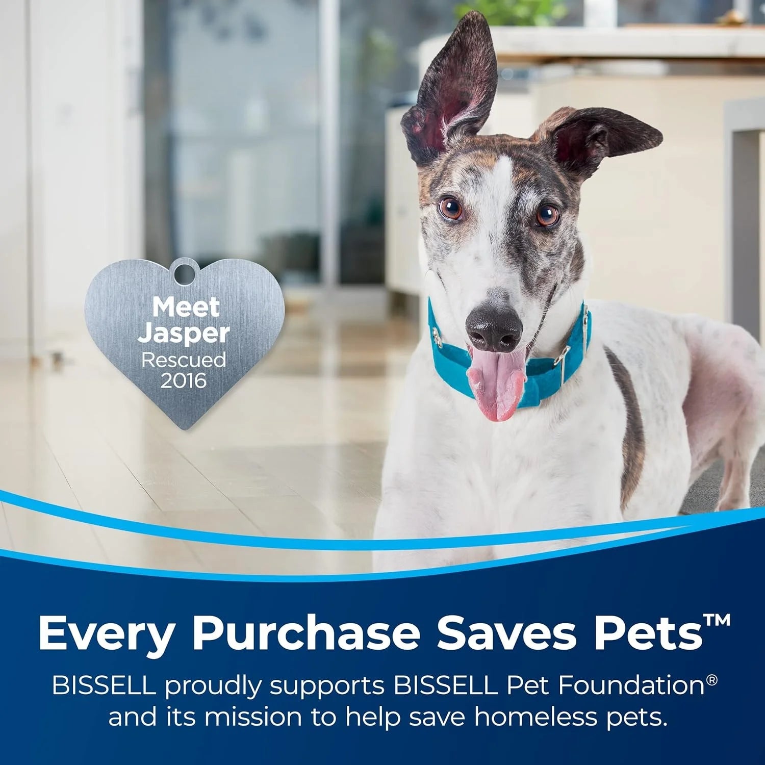 Surfacesense Allergen Lift-Off Pet, Bagless, Upright Vacuum, Pet Friendly, Surface Detect Technology, LED Headlights, Tangle-Free Brush Roll, 3415, Black & Copper