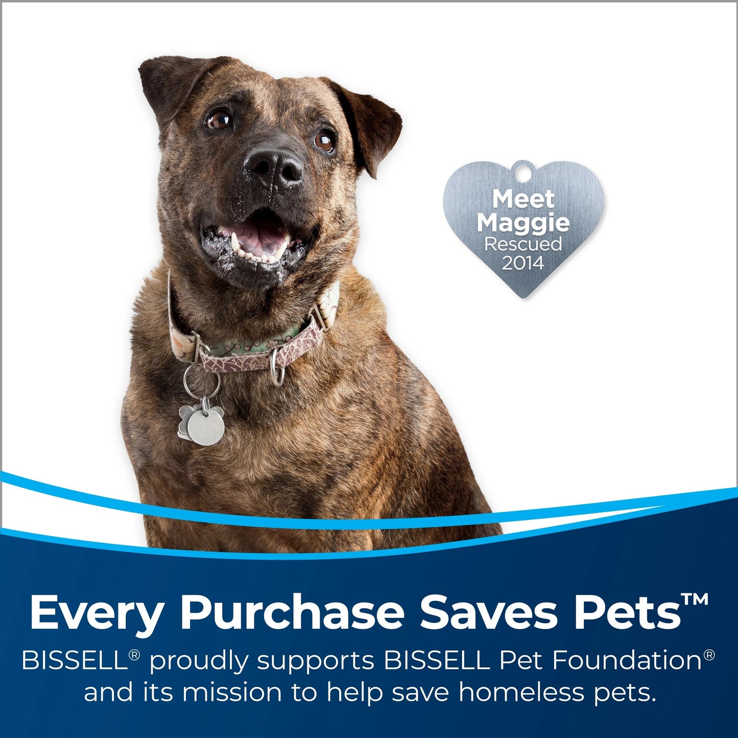 Upright Vacuum, Pet Hair Eraser Turbo Pet Friendly, Bagless, Hard Floor and Carpet, with Tangle Free Brush Roll, Extension Wand, 2475, Grey